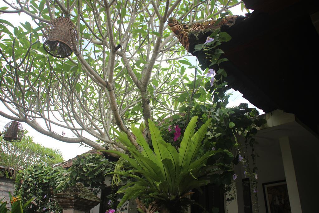 Ubud Rooms B&B Tempat Tidur & Sarapan Ubud (Bali)